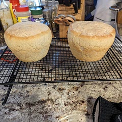 Haven't tried it yet, but looks great so far! SO TASTY!  This bread was crispy and moist and delicious. 💯 Will make again!
