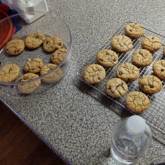 This is literally my first time ever making cookies from scratch and this recipe was perfection. My partner works in a bakery and said I was crazy for using syrup but the taste don't lie!! 😍😍🥰