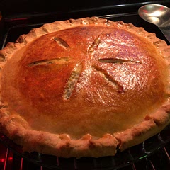 Sooo good! We did ~1.5x the sauce (maybe closer to 1.75x) and it was perfect. Also used chicken thighs instead of chicken breast and added dried thyme and Italian seasoning. It took closer to 50 minutes to bake and we did add an egg wash at the end to get it nice and golden brown.