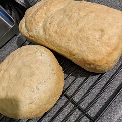 Used a loaf pan and a pyrex bowl. Really enjoyed it and will make again. Very moist and easy to make.