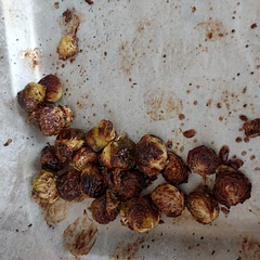 When your husband who dislikes brussel sprouts eats a bowl with tons of praise on how good they are. That's a WIN!! I used honey