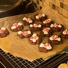 Add marshmallows 2 minutes before they are done and a peppermint kiss after baking for peppermint hot cocoa cookies