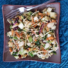 Didn't have time to prep the kale and cabbage so bought the bagged already shredded at the grocery store. My favorite coleslaw. Used sliced almonds instead of pumpkin seeds this time and added the green apple.
YUM!!