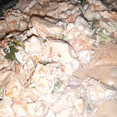 No baby spinach, added mushrooms, Cajun spice, tomato puree.