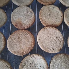 I make these over and over again. I sometimes change the seasoning to nooch and onion (half of each), or chilli and lime juice (reduce the volume of water), I've also done cumin and chilli, curry, rosemary and onion and just plain salt and pepper. They last for about a week on an air tight tub. I spread with home made cashew spreading cheese it mushroom pate.