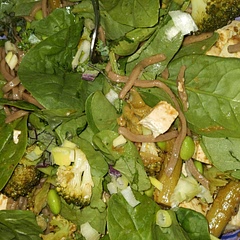 Very tasty! Dressing was great... It made a lot 😬😋 I think the dressing is meant to be in teaspoons not tablespoons, let me know what you think?! Would eat again