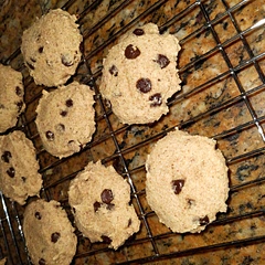 Healthy cookies that were very chewy and delicious!