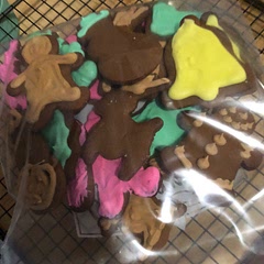 Ignoring mine and my 9 yr old sons decorating job, the cookies were delicious! The spices were perfect and the cookie was soft yet sturdy. I never considered myself a big fan of gingerbread but I couldn’t stop eating these I was obsessed