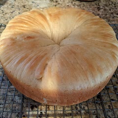 Came out pretty good and tasty. I used chocolate chips instead of cranberry.
