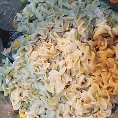 Kids inhaled it and plenty for leftovers!