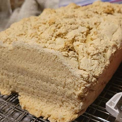 Used GF flour (King Arthur), coconut milk, raw sugar, and corn oil. Not a good crumb, but tastes more like bread than most with a yeast allergy. Needed more liquid with my flour, though. (And sugar.)