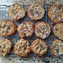 Delicious! Easy to make and a quick bake.