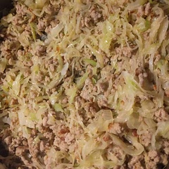 I used 1 lb of ground pork instead of sausage.