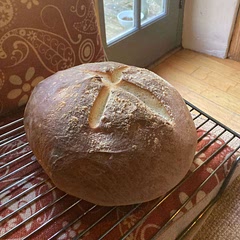 Put low in oven