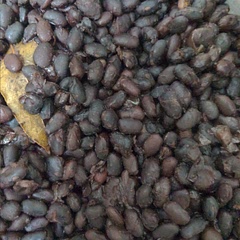 Beans! Little bit of tooth left in them after 35 minites, if you want them softer add 5 minutes to the cook time