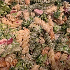 Fantastic!! I substituted low fat plain Greek yogurt instead of sour cream. I used rotini because I ordered the wrong pasta through Instacart by accident.