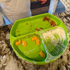 So easy!!  Hubby, 1 year old and cats devoured these 😂. Very easy and quick!