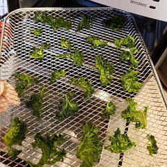 Used coconut oil, a little bit of Himalayan salt, and garlic powder. My four-year-old demolished them. So easy to make, love it! We'll be experimenting with different seasonings.