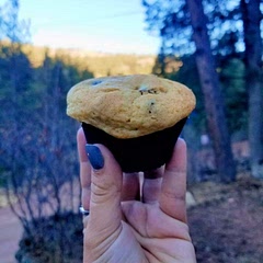 Really good easy recipe. The muffins turned out great and I even used dried cranberries. I think next time I'll use regular cranberries because I wish they were juicy.