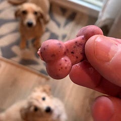 My pups love these delicious treats and they’re so good for them!
