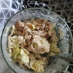 I made this with peppered chicken, shiritaki noodles, green leaf lettuce, and mozzarella cheese and really enjoyed it.