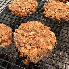 Not overly sweet. May add sugar free chocolate chips to it next time or nuts.