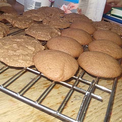 Love it, would be great with milk, hot chocolate or coffee. Very chocolatey, made a mistake with the batch on the left (set Temp to 180F instead of 180C. Also forgot to roll it)