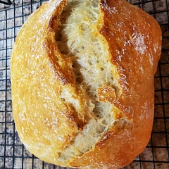 06/2023 I let the dough rise as stated in the recipe then moved to the fridge as mentioned in the tips. After about 12 hours I set the bowl on the counter for probably 4 hours. The bread baked up perfectly in my Dutch oven.

09/2023 I wanted crusty bread to go with a stew I made so I tried the quicker version, letting it rise for 3 hours then shaping and baking. I mixed in chopped fresh rosemary in the mixing step as well. Excellent for a quick rise. Not quite as light and fluffy, but the hardy chewiness was what I wanted for stew. 