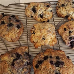 I used half n half and 2%milk and these turned out well