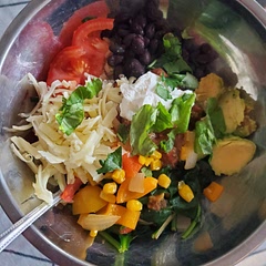 This recipe was super easy and delicious. I added a ton of salsa on top plus a little sour cream.  I will make this over and over again.  Looking forward to trying different variations