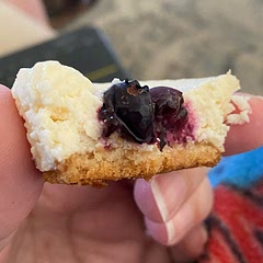 Super good! I added extra lemon juice and did blueberries/monk fruit sweetener instead of blackberries & sugar. They are addictive!