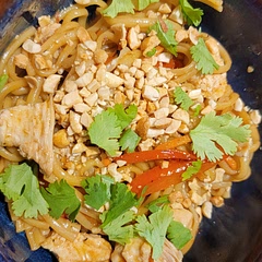 Delicious, spicy and very easy! I used linguine (because that's that I had) instead of spaghetti. I used sambal oelek for the chili/ginger sauce. I also added fresh ginger (maybe a teaspoon) to the veggies and just cooked then in a pan because I didn't have a pan that would fit in the instant pot. I think water chestnuts would have been great in this as well. I think in the future I would cut the chicken into thin strips so it absorbs the flavor better. A few workarounds, but it was great!