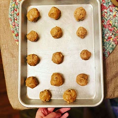 Love this protein ball recipe. Will definitely make again. I’m in love with them.