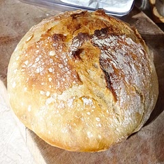 Amazing bread, so much better than I thought it would be! So easy!
