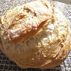 This is my go to bread recipe. Never fails me. No fuss.