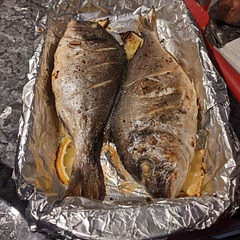 Fish was cooked well but skin needed longer. Will try 250 Deg next time or flash fry