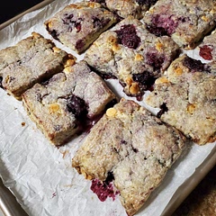 Wonderful scones! A great balance between tangy and sweet. They have a good mouth feel and look how a scone should look.