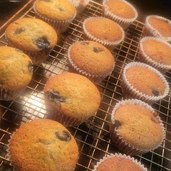 Not as moist as I'd like but still very good in a pinch with no eggs