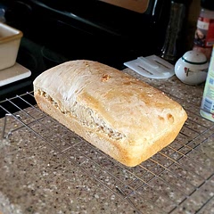 This was soooo much better than my normal sourdough!! I used Himalayan salt and just regular sugar and it turned out great! And my oven doesn't warm things up very fast so I baked it longer than 40 minutes. Everyone loved it!!