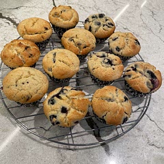 Love using this muffin recipe as a base for most of the muffins I make. Made just plain blueberry muffins and chocolate chip muffins. Turned out great!