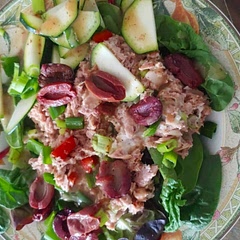 Didn't have lettus for wraps so I turned it into a salad. Very good.