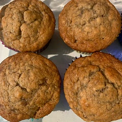 My family’s new favorite muffin! I did not use nuts because we have not tried them yet with my baby but they would be delicious!