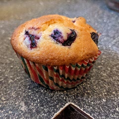 Great muffins! Don't skimp on the lemon zest, it adds so much great flavor. We made these with almond milk and added a little extra lemon juice and they turned out great.