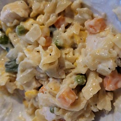 Added garlic powder, onion powder, and cheese. Would have been better if there was celery cooked eith the other veggies. Not too strong of any flavors so good for picky eaters. We all just customized it once it was served.