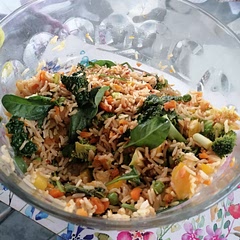 This was very tasty, didn't use the egg though and only 1 tsp of ginger as I find it too strong. I put more soy sauce in it. Leftovers will be great for tomorrow's lunch.