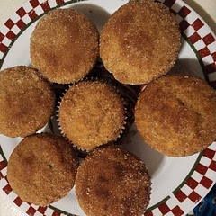 These were absolutely amazing. I used applesauce instead of oil and they still turned out great.