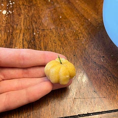 Very cute. But more time consuming than worth it. David and Luke wouldn’t even touch it. The gnocchi recipe was excellent though, I just won’t be doing pumpkin shapes again