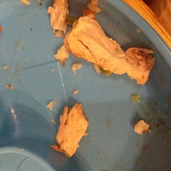 My two year old ate almost an entire thigh she loved it! We all loved it too. My local Costco was OUT of all chicken breasts so last month I had to buy chicken thighs. This recipe was a hit and I'll be making it again!