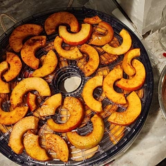 My kid loves apples, so I figured I'd give these a shot. They taste great and he loves them! Did them for about 12 hours so they're nice and crispy.