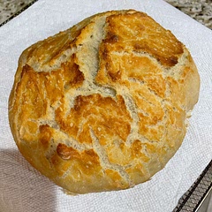 Used active dry yeast and proofed in instant pot, only took one hour to rise.